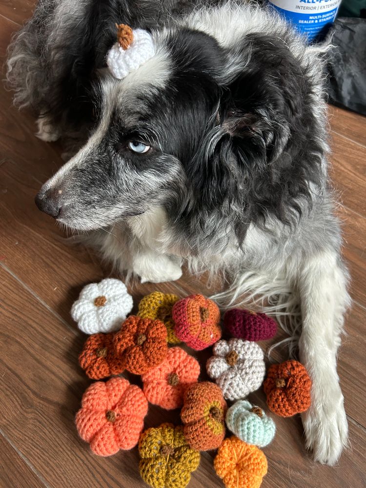 Crochet pumpkins 